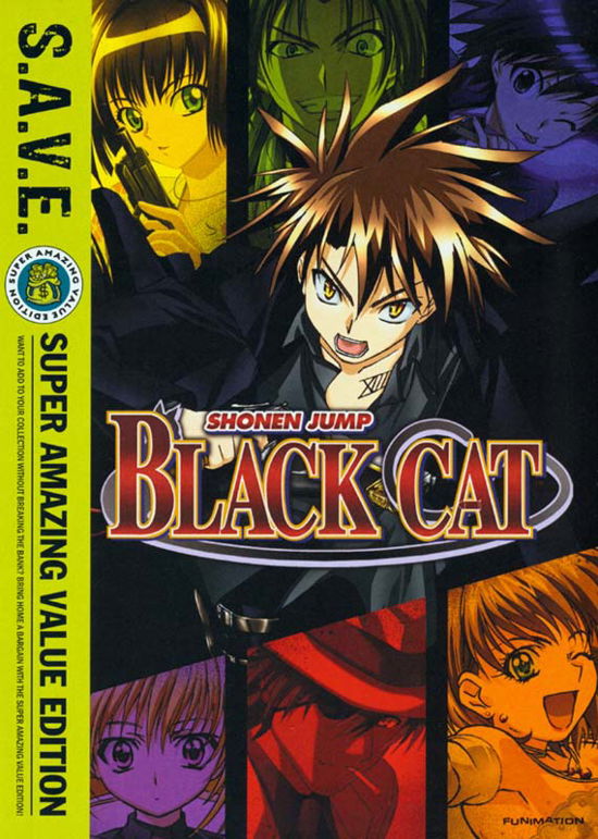 Cover for DVD · Black Cat: the Complete Series (S.a.v.e.) (DVD) [Box set] (2012)