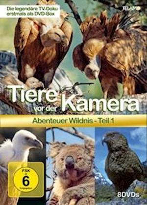 Cover for Tiere Vor Der Kamera · Tiere Vor Der Kamera - Abenteuer Wildnis 1 (DVD) (2024)