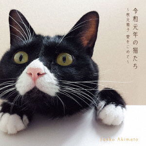 Cover for Akimoto Junko · Reiwa Gannen No Neko Tachi-akimoto Junko Ai Wo Komete- (CD) [Japan Import edition] (2019)