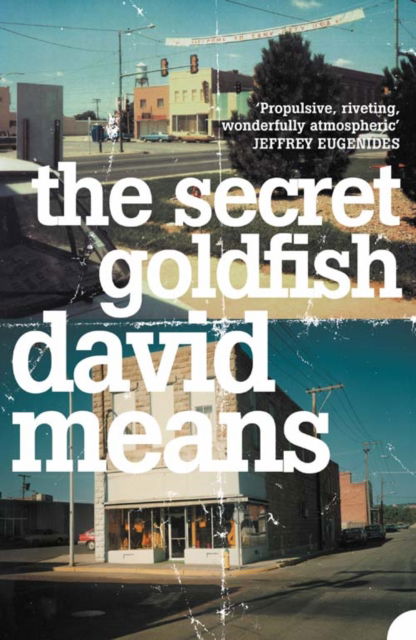 Cover for David Means · The Secret Goldfish (Paperback Book) (2006)