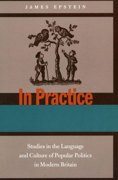 Cover for James Epstein · In Practice: Studies in the Language and Culture of Popular Politics in Modern Britain (Taschenbuch) (2002)