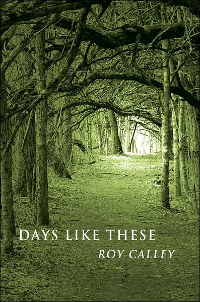 Cover for Roy Calley · Days Like These (Paperback Book) (2007)