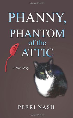 Cover for Perri Nash · Phanny, Phantom of the Attic (Paperback Book) (2014)