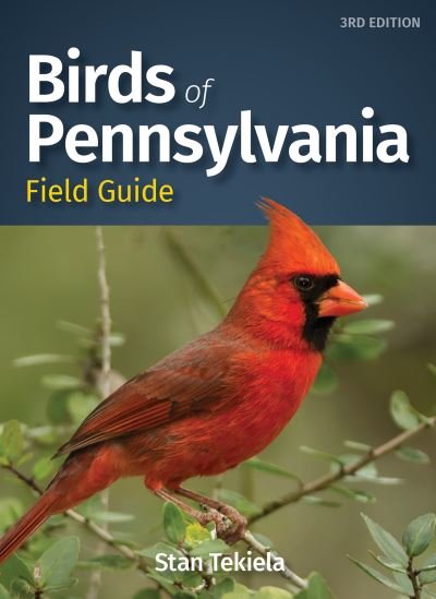 Cover for Stan Tekiela · Birds of Pennsylvania Field Guide - Bird Identification Guides (Paperback Bog) [3 Revised edition] (2021)