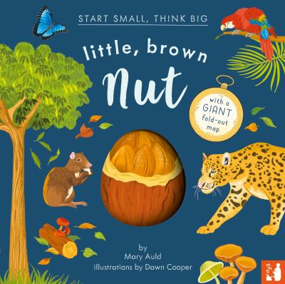 Cover for Mary Auld · Little, Brown Nut: A fact-filled picture book about the life cycle of the Brazil nut tree, with fold-out map of the Amazon rainforest (ages 4-8) - Start Small, Think Big (Inbunden Bok) (2023)