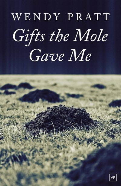 Cover for Wendy Pratt · Gifts the Mole Gave Me (Pocketbok) (2017)