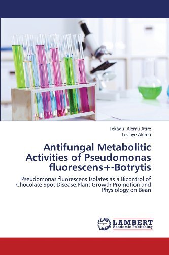 Cover for Tesfaye Alemu · Antifungal Metabolitic Activities of Pseudomonas Fluorescens+-botrytis: Pseudomonas Fluorescens Isolates As a Bicontrol of Chocolate Spot Disease,plant Growth Promotion and Physiology on Bean (Paperback Bog) (2013)