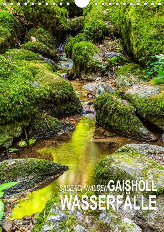 Sasbachwalden Gaishöll-Wasserfäll - Peter - Books -  - 9783672196882 - 