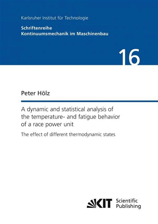 Cover for Hölz · A dynamic and statistical analysis (Book)