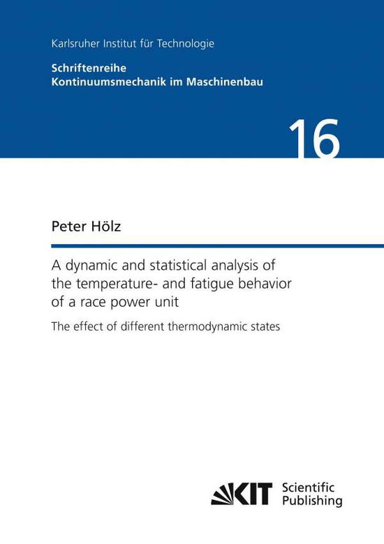 Cover for Hölz · A dynamic and statistical analysis (Book)