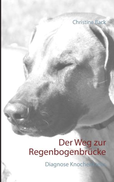 Cover for Back · Der Weg zur Regenbogenbrücke (Buch) (2017)