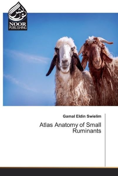 Cover for Swielim · Atlas Anatomy of Small Ruminant (Book) (2019)