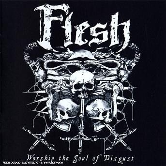 Cover for Flesh · Worship the Soul of Disgust (CD) (2008)