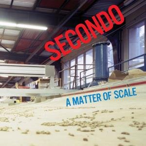 Cover for Secondo · Matter Of Scale (LP) (2008)