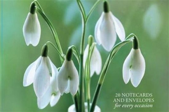 Cover for Peony Press · Card Box of 20 Notecards and Envelopes: Snowdrop (Lernkarteikarten) (2012)