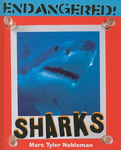 Cover for Marc Tyler Nobleman · Sharks (Endangered!) (Hardcover Book) (2009)