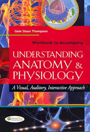 Cover for Gale Sloan Thompson · Workbook to Accompany Understanding Anatomy and Physiology: A Visual, Auditory, Interactive Approach (Paperback Book) (2012)