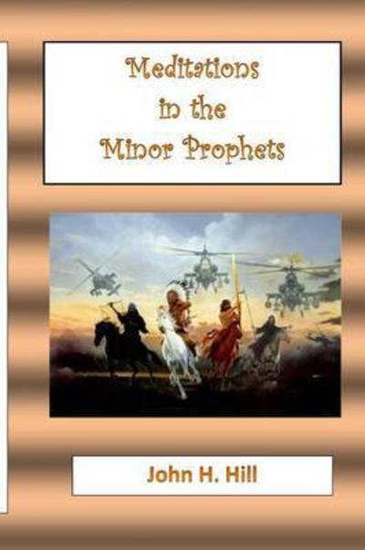 Cover for John Hill · Meditations in the Minor Prophets (Paperback Bog) (2014)