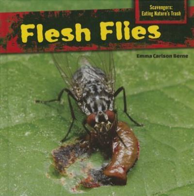 Flesh Flies - Emma Carlson Berne - Books - PowerKids Press - 9781477765883 - July 30, 2014