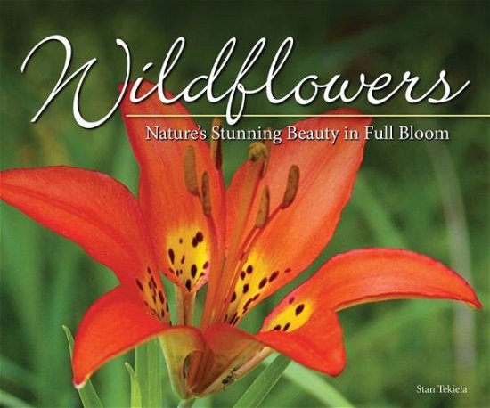 Cover for Stan Tekiela · Wildflowers: Nature's Stunning Beauty on Display - Nature Appreciation (Paperback Bog) (2019)