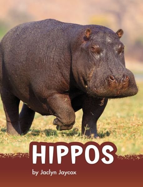 Cover for Jaclyn Jaycox · Hippos (Hardcover Book) (2022)