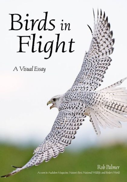 Cover for Rob Palmer · Birds In Flight: A Visual Essay (Paperback Book) (2019)