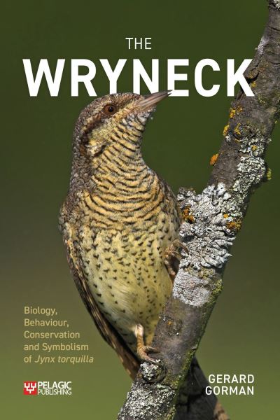 Cover for Gerard Gorman · The Wryneck: Biology, Behaviour, Conservation and Symbolism of Jynx torquilla - Pelagic Monographs (Taschenbuch) (2022)