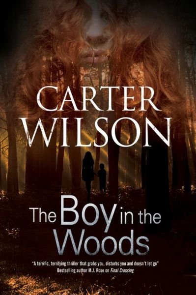 Cover for Carter Wilson · The Boy in the Woods (Paperback Book) [Main edition] (2017)