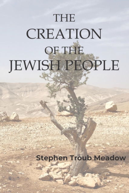 Cover for Meadow Stephen Troub Meadow · The Creation of the Jewish People (Paperback Book) (2022)