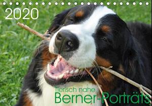 Cover for Brenner · Tierisch nahe Berner-Porträts ( (Book)