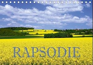 Cover for Pfleger · Rapsodie (Tischkalender 2020 DI (Book)