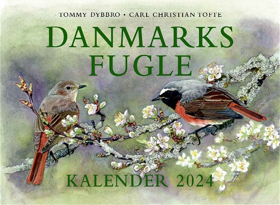 Cover for Carl Christian Tofte; Tommy Dybbro · Danmarks fugle - kalender 2024. (Bound Book) [1. Painos] (2023)