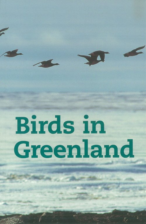 Cover for David Boertmann · Birds in Greenland (Hæftet bog) [1. udgave] [Limryg] (2003)