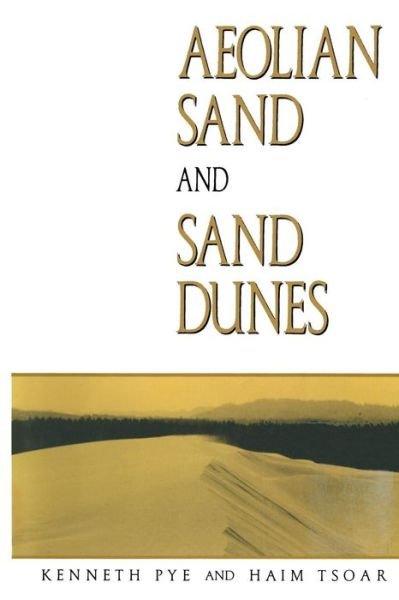 Aeolian sand and sand dunes - K. Pye - Bücher - Springer - 9789401159883 - 12. Februar 2012