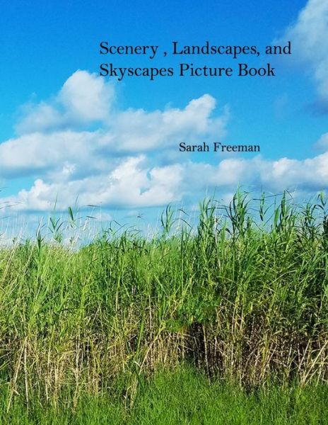 Cover for Sarah Freeman · Scenery, Landscapes, and Skyscapes Picture Book - Landscapes (Paperback Book) (2020)