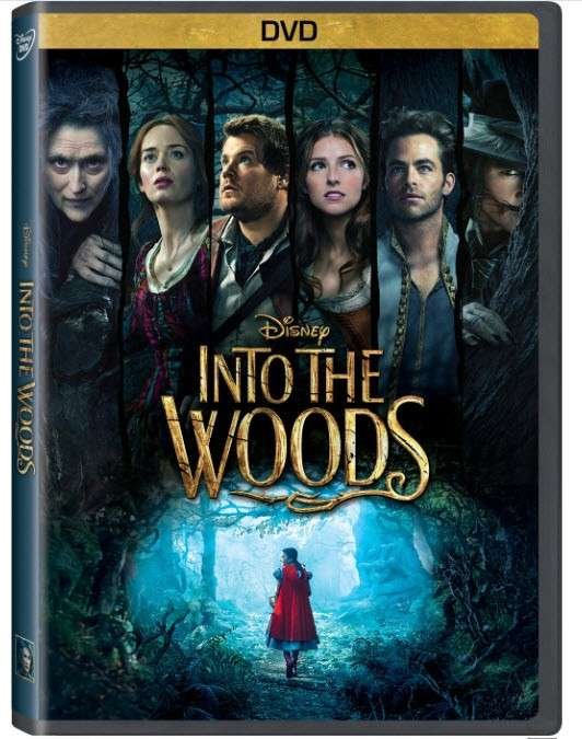 Cover for Into the Woods (DVD) (2015)