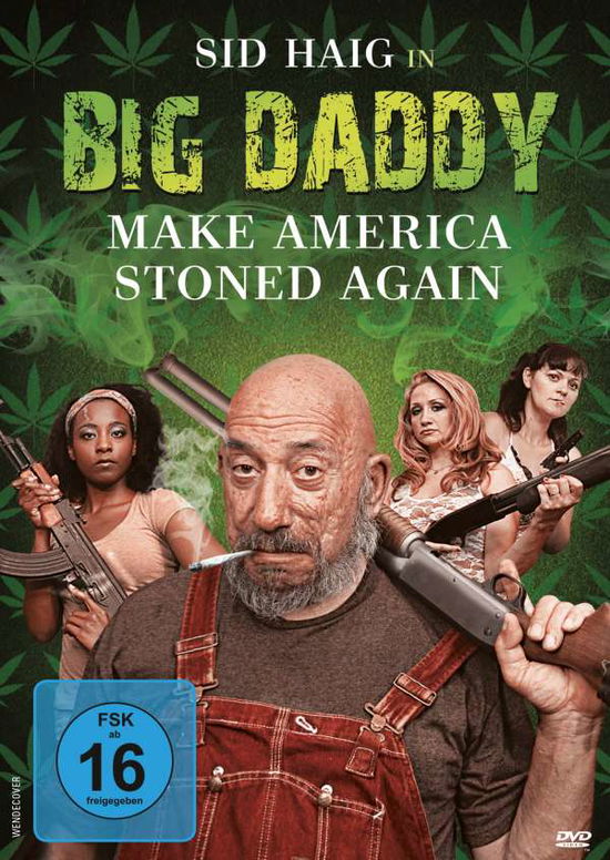 Cover for Haig,sid / Estevez,joe / Zdar,robert / Domen · Big Daddy-make America Stoned Again (DVD) (2020)