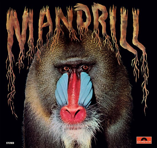 Cover for Mandrill (CD) (2020)