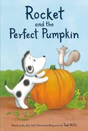 Cover for Tad Hills · Rocket and the Perfect Pumpkin (Innbunden bok) (2020)