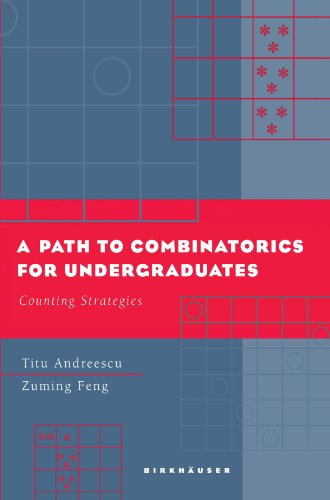 Cover for Titu Andreescu · A Path to Combinatorics for Undergraduates: Counting Strategies (Pocketbok) [2004 edition] (2003)