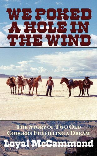 Cover for Loyal Mccammond · We Poked a Hole in the Wind (Paperback Book) (2011)