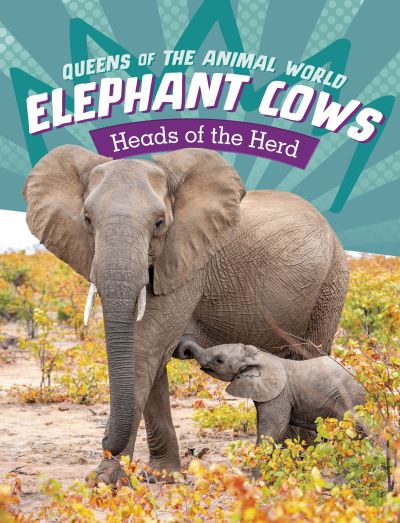 Cover for Maivboon Sang · Elephant Cows: Heads of the Herd - Queens of the Animal World (Paperback Book) (2024)