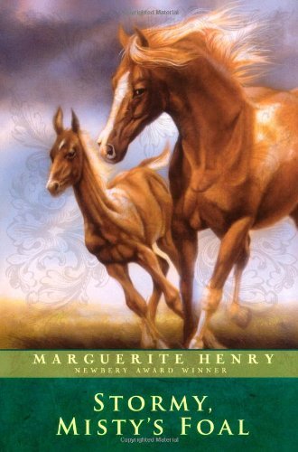 Stormy, Misty's Foal - Marguerite Henry - Bücher - Aladdin - 9781416927884 - 1. Mai 2007