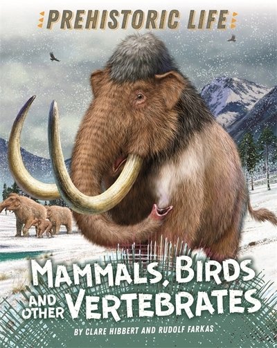 Cover for Clare Hibbert · Prehistoric Life: Mammals, Birds and other Vertebrates - Prehistoric Life (Hardcover Book) [Illustrated edition] (2019)