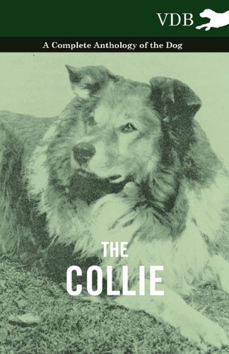 Cover for The Collie - a Complete Anthology of the Dog - (Paperback Book) (2010)