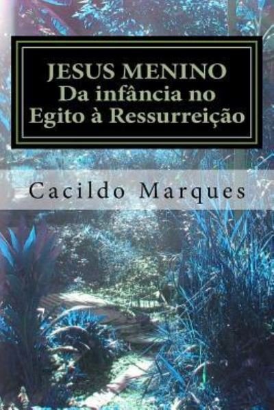 Cover for Cacildo Marques · Jesus Menino (Paperback Book) (2016)