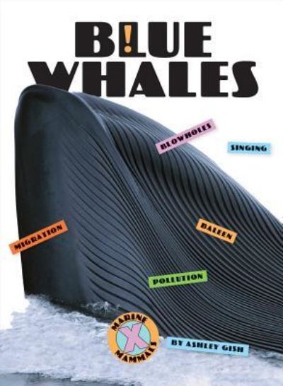 Cover for Ashley Gish · Blue Whales (Hardcover Book) (2019)