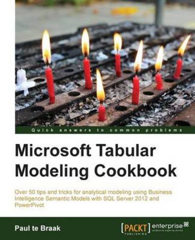 Cover for Paul te Braak · Microsoft Tabular Modeling Cookbook (Paperback Book) (2013)