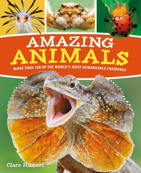 Cover for Claire Hibbert · Amazing Animals (Book) (2021)