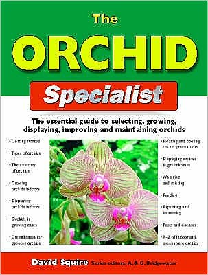 The Orchid Specialist - Specialist Series - David Squire - Books - IMM Lifestyle Books - 9781843307884 - February 1, 2005